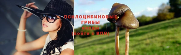 винт Белокуриха