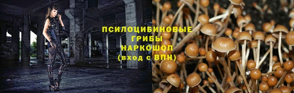 винт Белокуриха